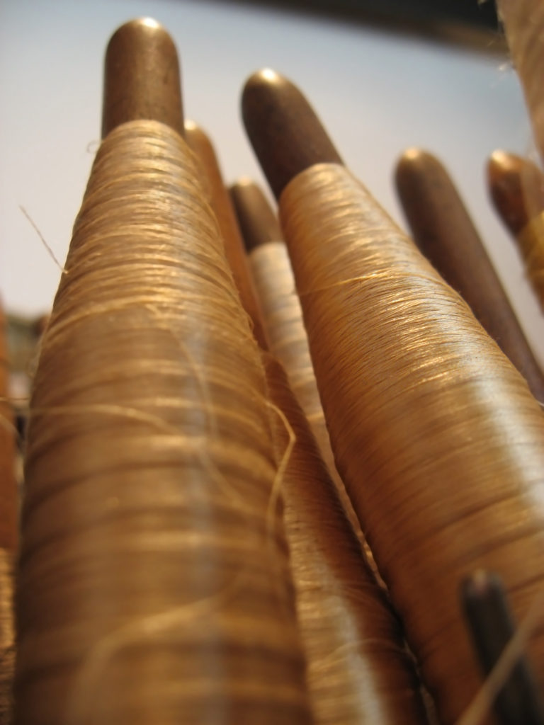 Future focused resume