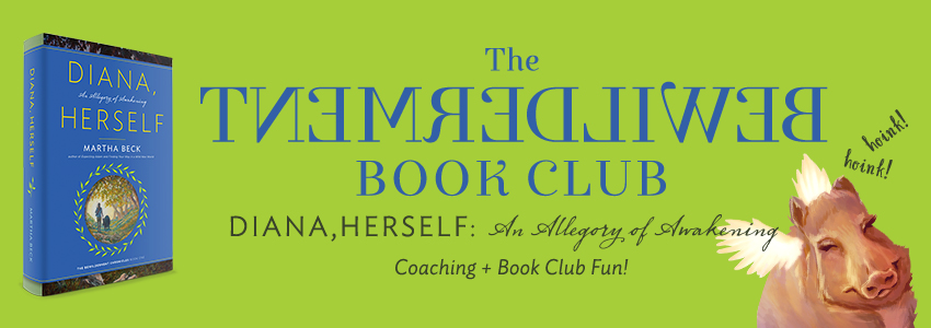 Bewilderment Book Club – Join the Club!