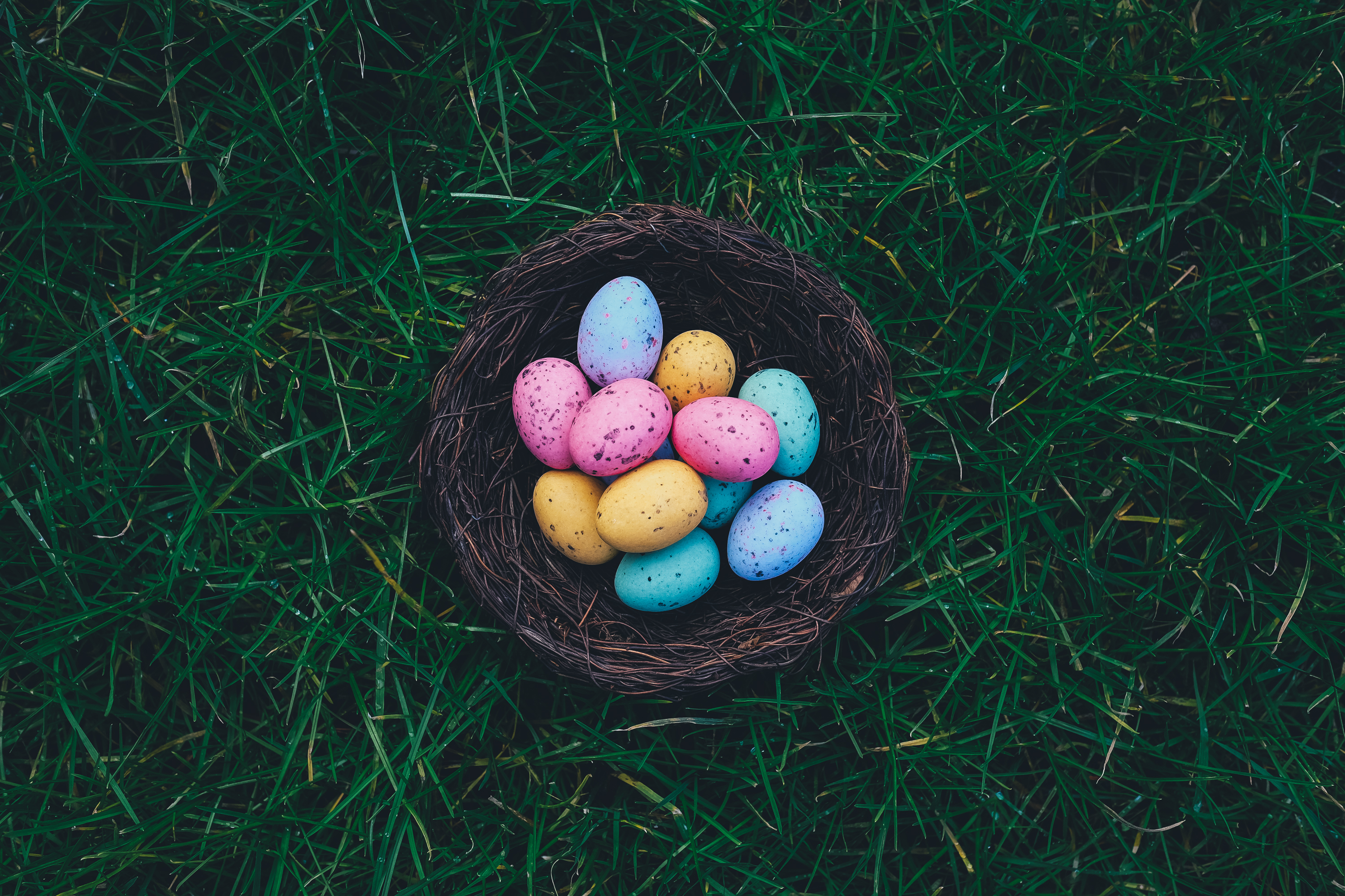 Easter eggs in the resume, and other juicy tips from Facebook and ATG
